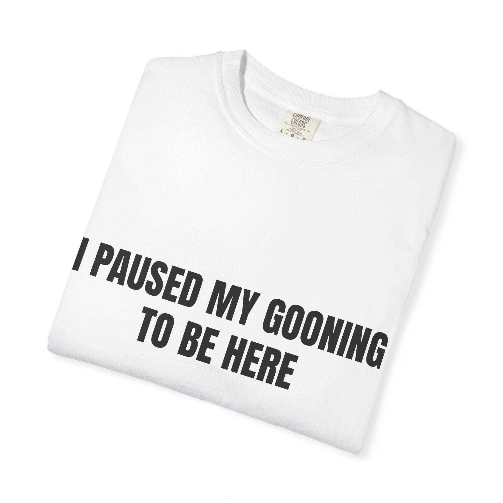 "I Paused My Gooning" To Be Here T-Shirt