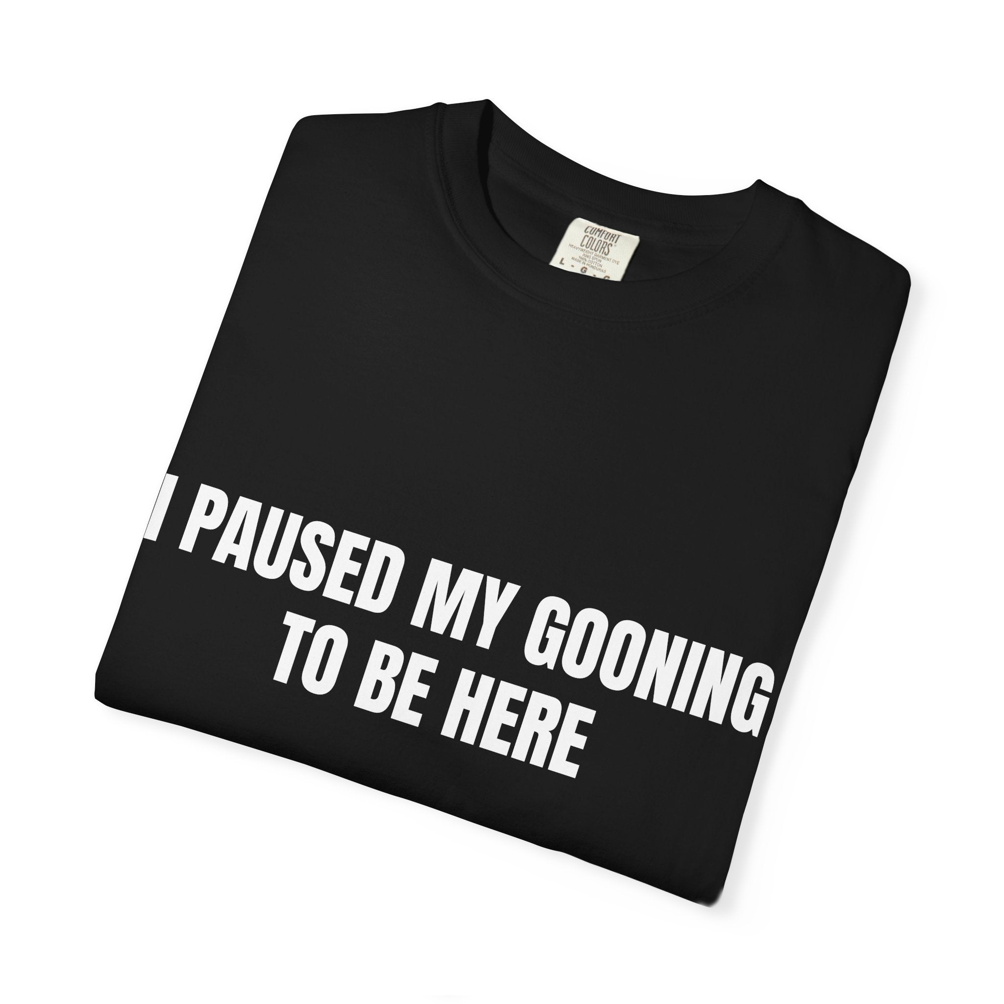 "I Paused My Gooning" To Be Here T-Shirt